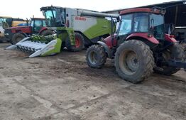 Ocazie, ferma agricola, 598 HA teren, masini agricole, spatii depozitare, Recas