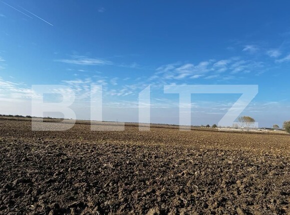 Teren de vânzare Recas - 130954TV | BLITZ Timișoara | Poza12