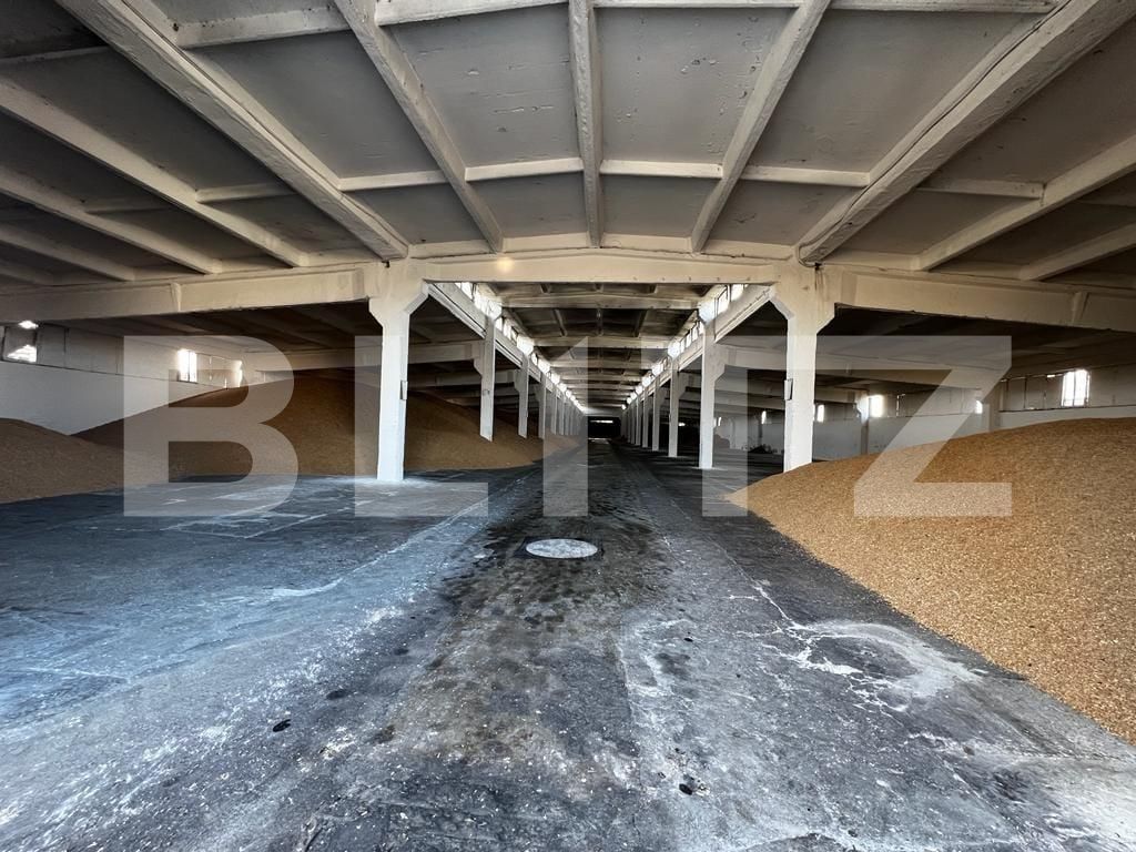 Teren de vânzare Recas - 130954TV | BLITZ Timișoara | Poza4