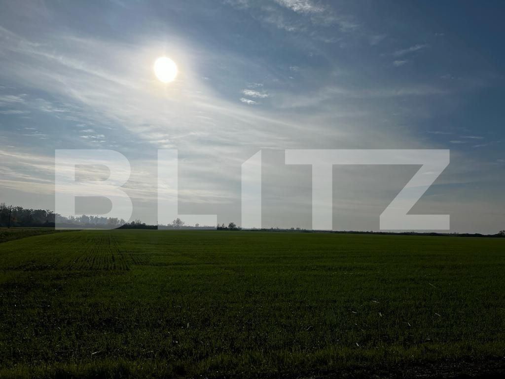 Teren de vânzare Recas - 130954TV | BLITZ Timișoara | Poza5