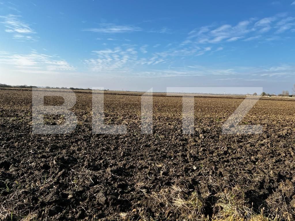 Teren de vânzare Recas - 130954TV | BLITZ Timișoara | Poza3