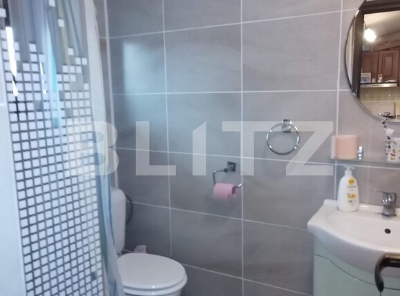 Casa de închiriat 3 camere Ronat - 131106CI | BLITZ Timișoara | Poza15