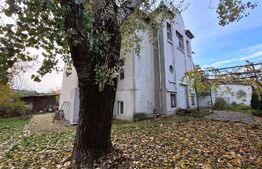 Oportunitate, vila sediu de birouri, 580 mp, 3504 mp teren, Iosefin