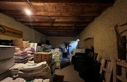 Oportunitate, vila sediu de birouri, 580 mp, 3504 mp teren, Iosefin