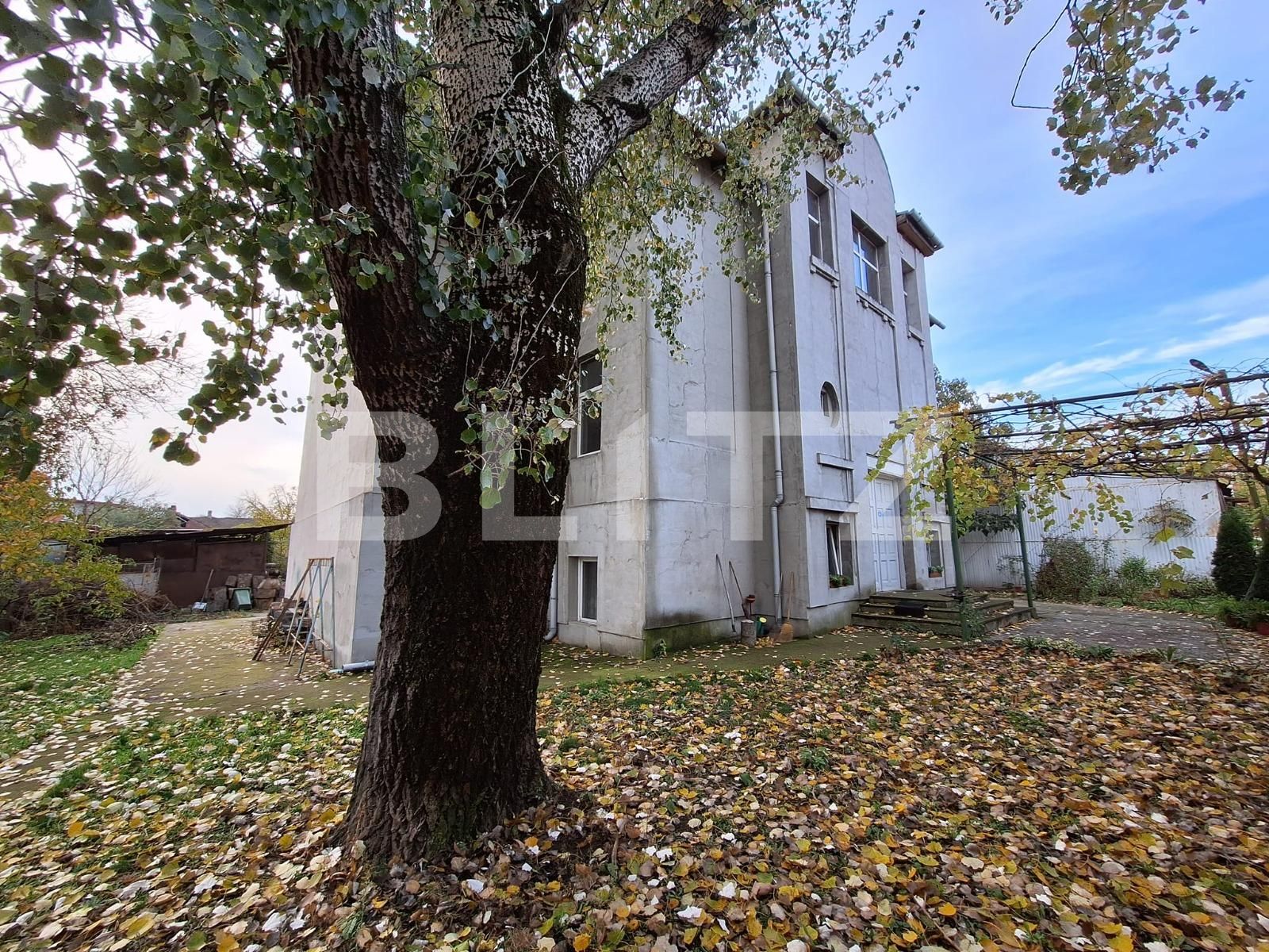 Casa de vânzare 14 camere Iosefin - 131110CV | BLITZ Timișoara | Poza8