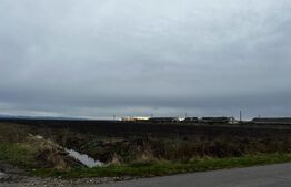 Teren, sector mecanic, 37266 mp, Tormac