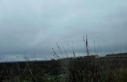 Teren, sector mecanic, 37266 mp, Tormac