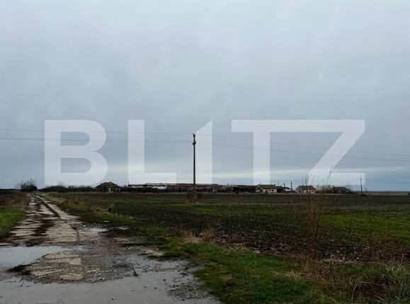 Teren de vânzare Exterior Sud - 131275TV | BLITZ Timișoara | Poza6