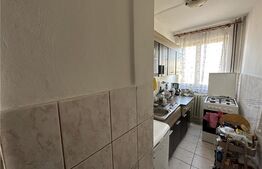 Apartament 2 camere, 43 mp, etaj intermediar, Sagului