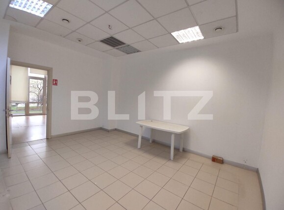 Spațiu comercial de închiriat Cetatii - 131422SIC | BLITZ Timișoara | Poza4