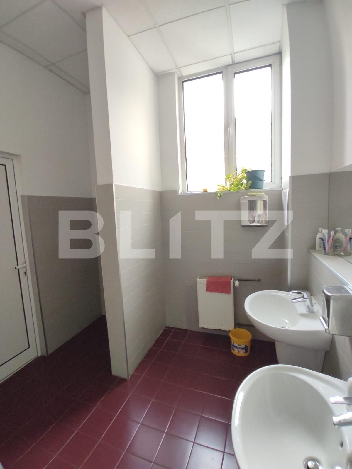 Spațiu comercial de închiriat Cetatii - 131422SIC | BLITZ Timișoara | Poza6