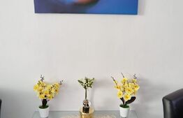 Apartament de 2 camere, 54mp, etajul 1,terasa 10mp, zona Dragalina