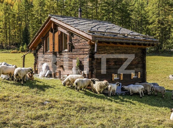 Teren de vânzare Exterior Vest - 131454TV | BLITZ Timișoara | Poza1