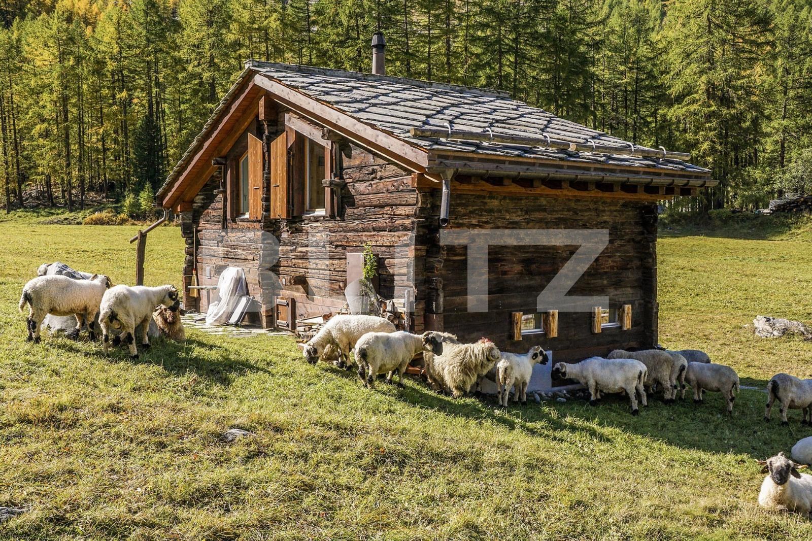 Teren de vânzare Exterior Vest - 131454TV | BLITZ Timișoara | Poza1