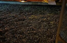 Apartament 2 camere, cochet, 60mp, la blocurile Tender, Aradului