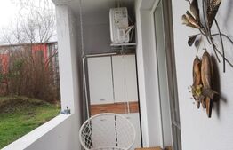 Negociabil. Apartament de o camera, 30mp, Esso Giroc