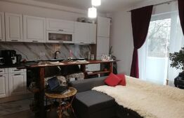 Negociabil. Apartament de o camera, 30mp, Esso Giroc