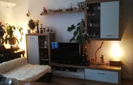 Negociabil. Apartament de o camera, 30mp, Esso Giroc