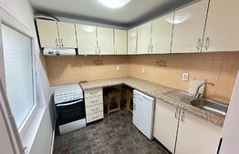 Apartament 1 camera, nemobilat, 50mp, zona Ultracentral