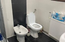 Casa versatilă cu drum de servitute, 3 apartamente, terasă spațioasă, 135mp, Blascovici