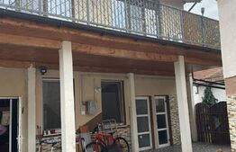 Casa versatilă cu drum de servitute, 3 apartamente, terasă spațioasă, 135mp, Blascovici