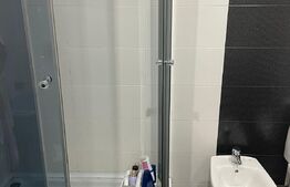 Casa versatilă cu drum de servitute, 3 apartamente, terasă spațioasă, 135mp, Blascovici