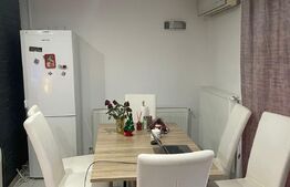 Casa versatilă cu drum de servitute, 3 apartamente, terasă spațioasă, 135mp, Blascovici