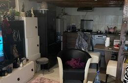 Casa versatilă cu drum de servitute, 3 apartamente, terasă spațioasă, 135mp, Blascovici