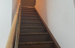 Casa versatilă cu drum de servitute, 3 apartamente, terasă spațioasă, 135mp, Blascovici