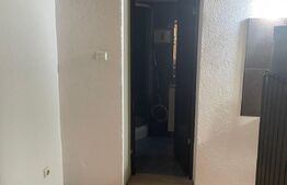 Casa versatilă cu drum de servitute, 3 apartamente, terasă spațioasă, 135mp, Blascovici