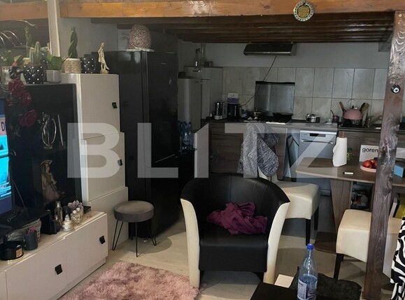 Casa de vânzare 5 camere Blascovici - 131885CV | BLITZ Timișoara | Poza12