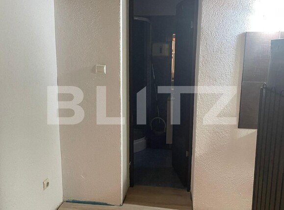 Casa de vânzare 5 camere Blascovici - 131885CV | BLITZ Timișoara | Poza15