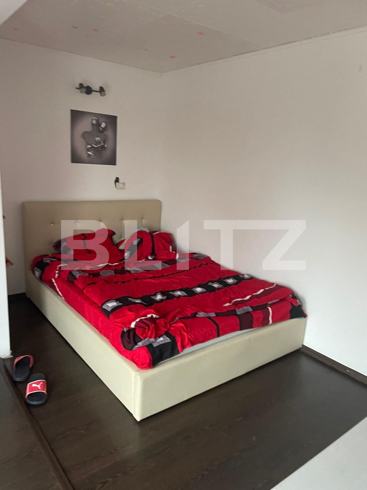 Casa de vânzare 5 camere Blascovici - 131885CV | BLITZ Timișoara | Poza6