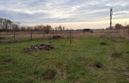 Casa batraneasca, 3 camere, 148mp, Sanandrei