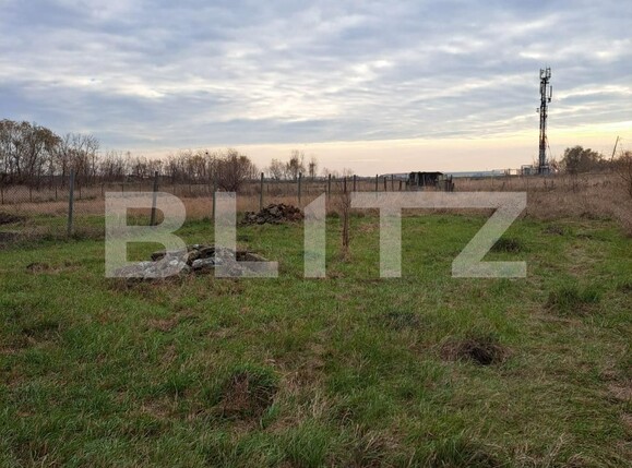 Casa de vânzare 3 camere Sânandrei - 131901CV | BLITZ Timișoara | Poza13