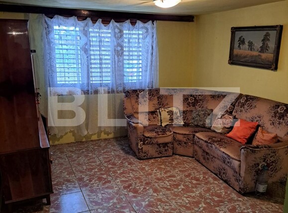 Casa de vânzare 3 camere Sânandrei - 131901CV | BLITZ Timișoara | Poza3