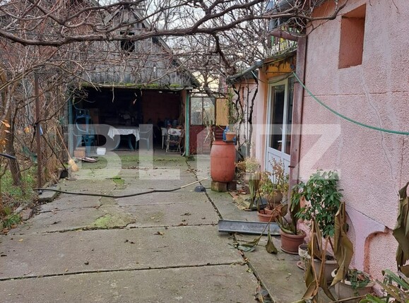 Casa de vânzare 3 camere Sânandrei - 131901CV | BLITZ Timișoara | Poza12