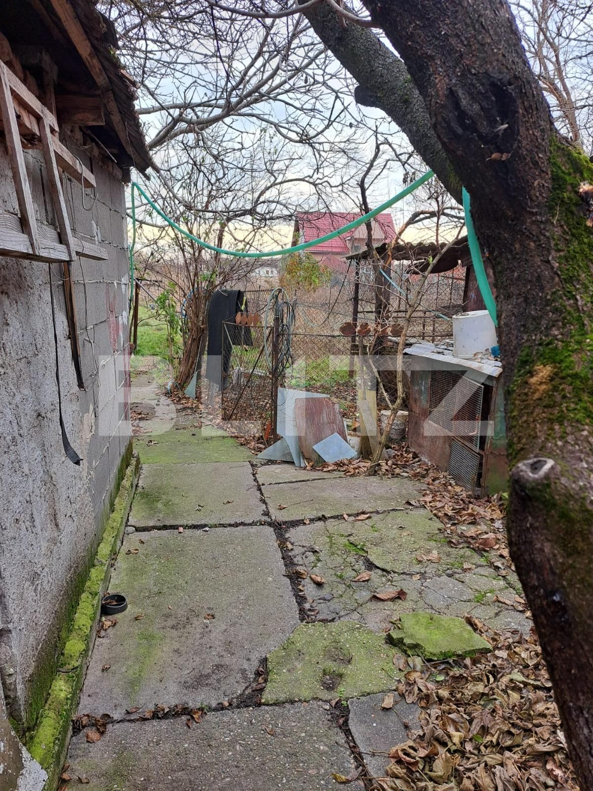 Casa de vânzare 3 camere Sânandrei - 131901CV | BLITZ Timișoara | Poza10