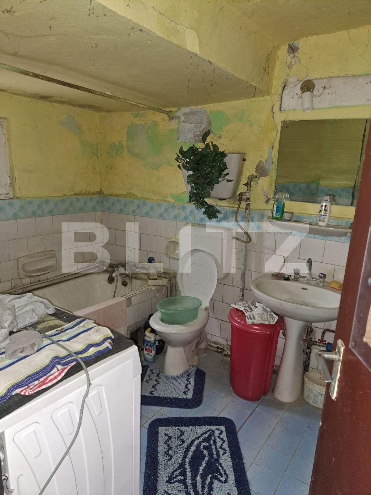 Casa de vânzare 3 camere Sânandrei - 131901CV | BLITZ Timișoara | Poza9