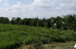 Casa individuala 4 camere, Su = 150mp, St = 2888mp sat Cebza, com Ciacova, jud. Timis