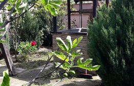 Casa individuala 4 camere, Su = 150mp, St = 2888mp sat Cebza, com Ciacova, jud. Timis