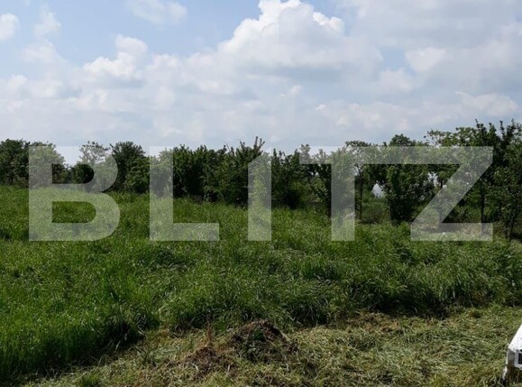 Casa de vânzare 4 camere Exterior Sud - 131982CV | BLITZ Timișoara | Poza12