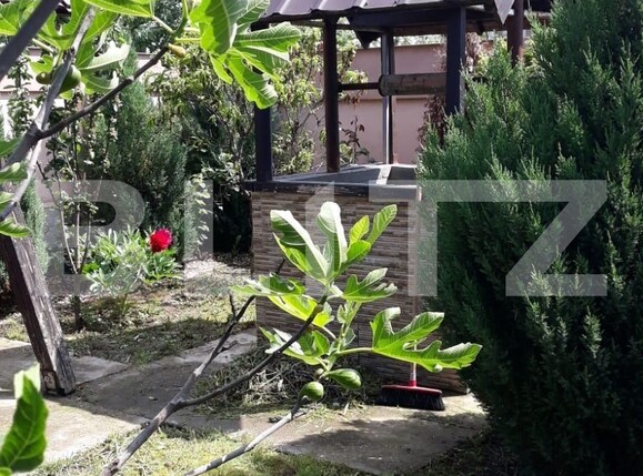 Casa de vânzare 4 camere Exterior Sud - 131982CV | BLITZ Timișoara | Poza2