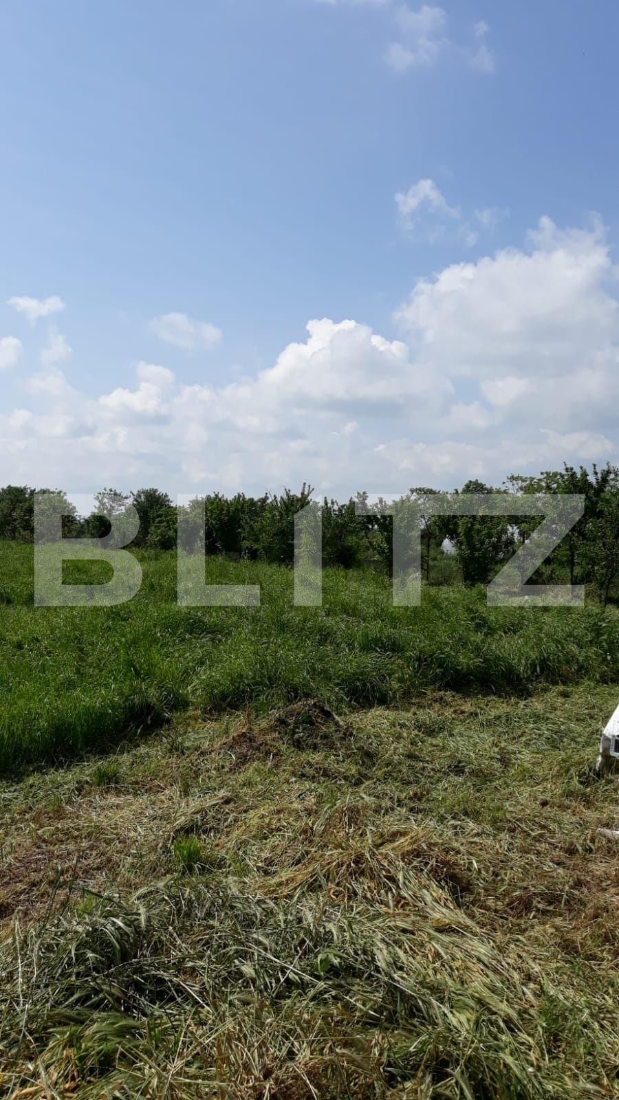 Casa de vânzare 4 camere Exterior Sud - 131982CV | BLITZ Timișoara | Poza12