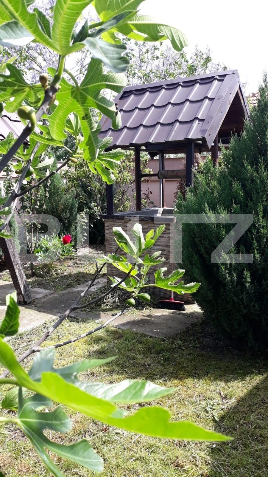 Casa de vânzare 4 camere Exterior Sud - 131982CV | BLITZ Timișoara | Poza2