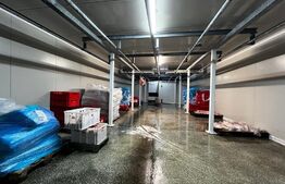 Teren cu afacere,  3100 mp, fabrica procesare carne, Recas