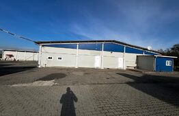 Teren cu afacere,  3100 mp, fabrica procesare carne, Recas