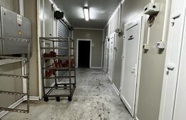 Teren cu afacere,  3100 mp, fabrica procesare carne, Recas