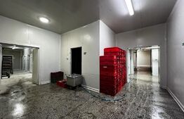 Teren cu afacere,  3100 mp, fabrica procesare carne, Recas