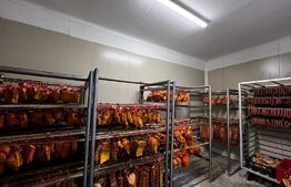 Teren cu afacere,  3100 mp, fabrica procesare carne, Recas